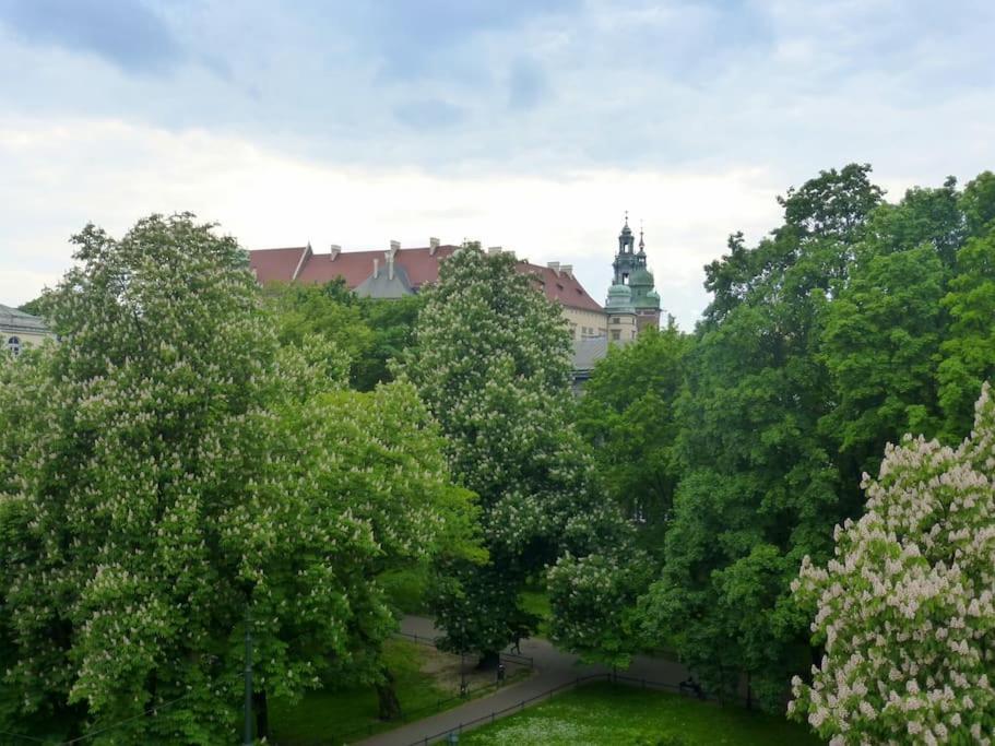 Apartmán Apartament Gertrudy Belle Krakov Pokoj fotografie